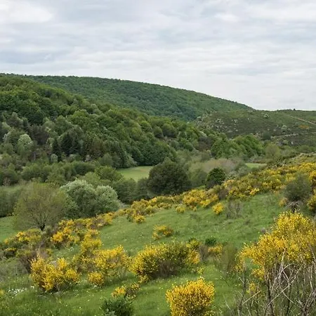 Сasa de vacaciones Location De A Masmejean Saint-Maurice-de-Ventalon